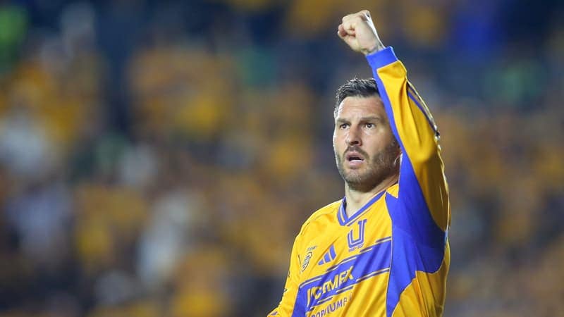 You are currently viewing Tifos XXL, chants… L&rsquo;incroyable hommage des supporters des Tigres à leur légende André-Pierre Gignac